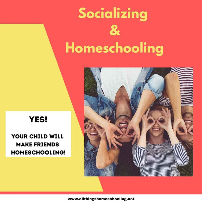 Socializing and Homeschooling - How do you socialize a homeschooled child?