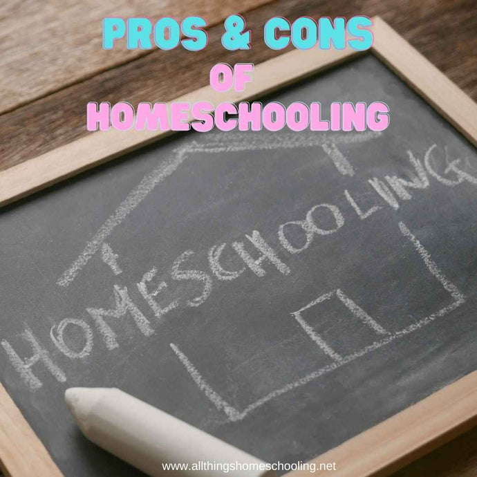 What are the benefits and disadvantages of homeschooling?