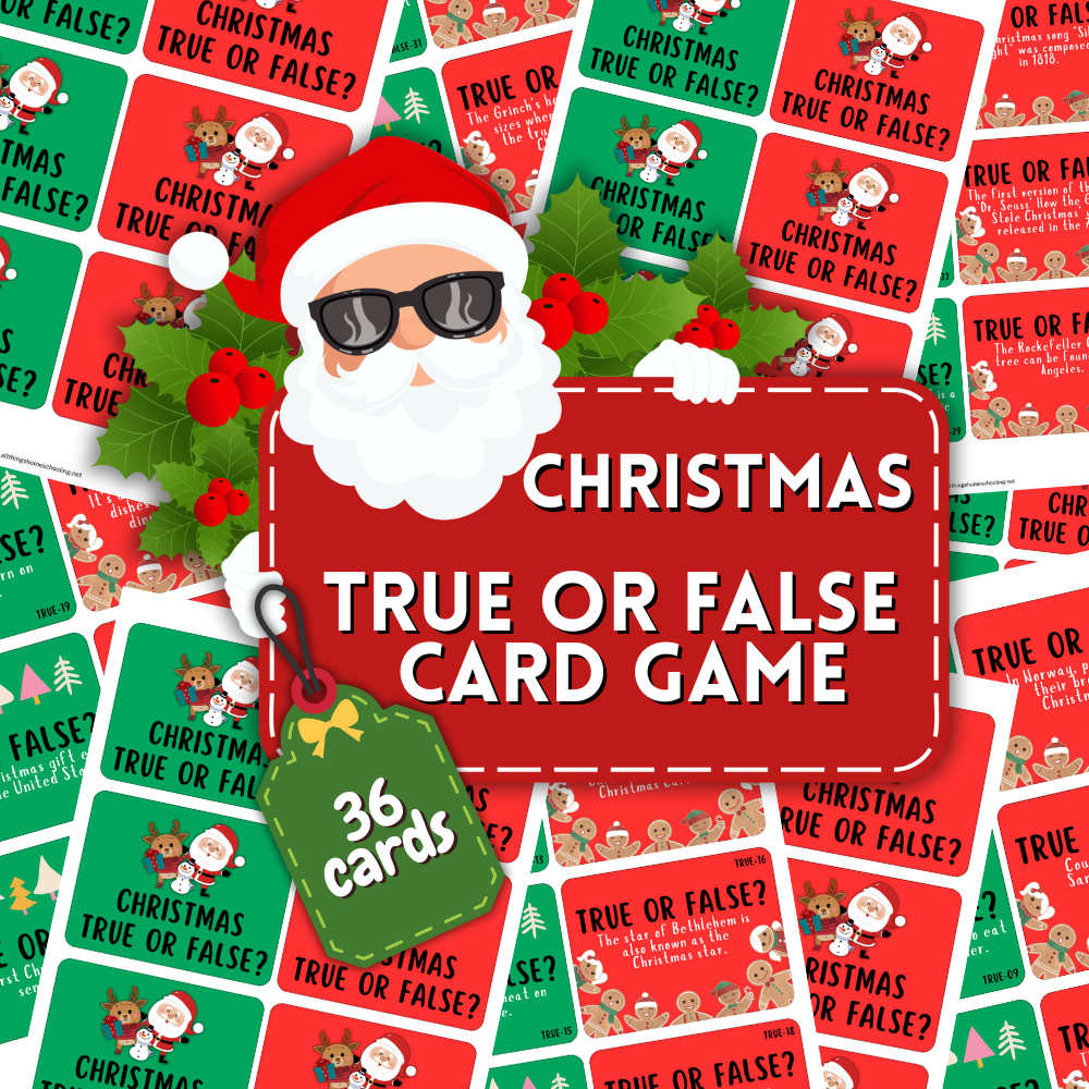 Christmas Family Holiday True or False Game