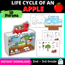 Load image into Gallery viewer, Lify cycle of an apple 3 d diorama
