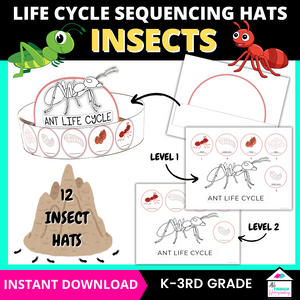 Insect Life Cycle Sequencing Hats Craft