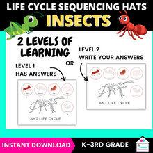 Load image into Gallery viewer, Insect Life Cycle Sequencing Hats Craft
