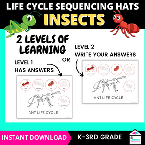 Insect Life Cycle Sequencing Hats Craft