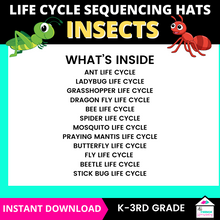 Load image into Gallery viewer, Insect Life Cycle Sequencing Hats Craft
