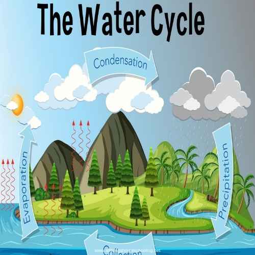What is a water cycle mini study unit. Facts page and a fill in diagram.